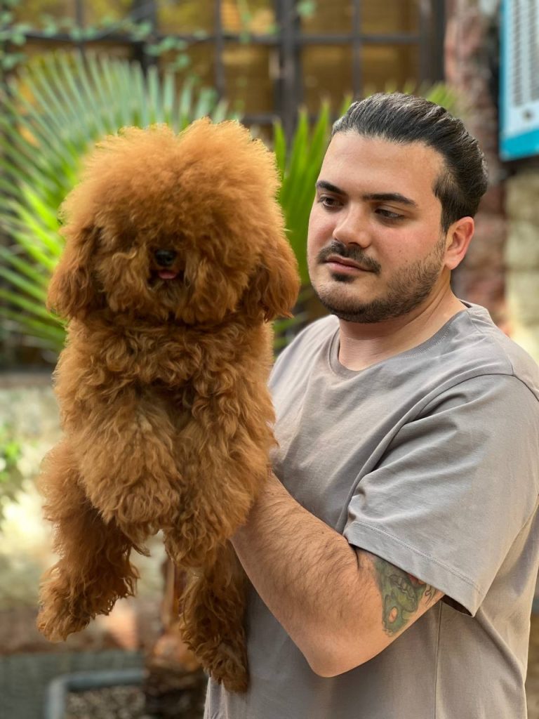 "A fluffy large poodle being held by a person."