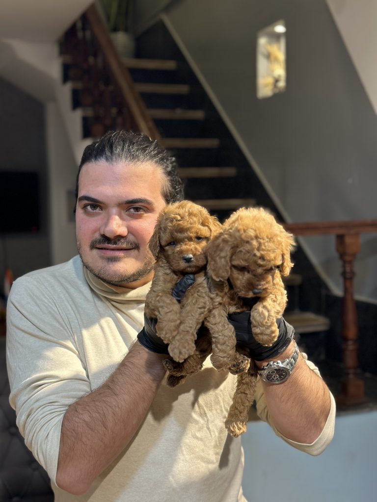 "A man in a white outfit holding two cute small poodles in his hands."