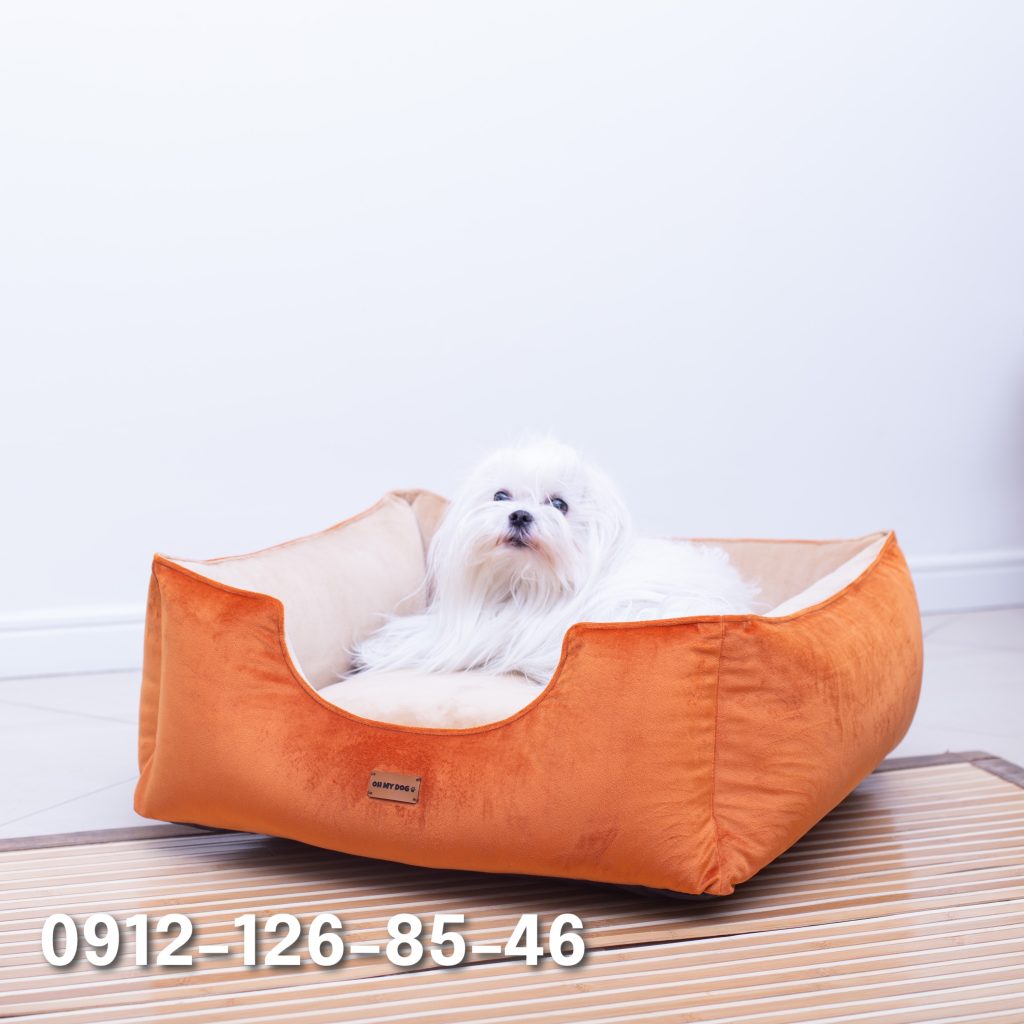 "A white Maltese dog sitting inside a small box."