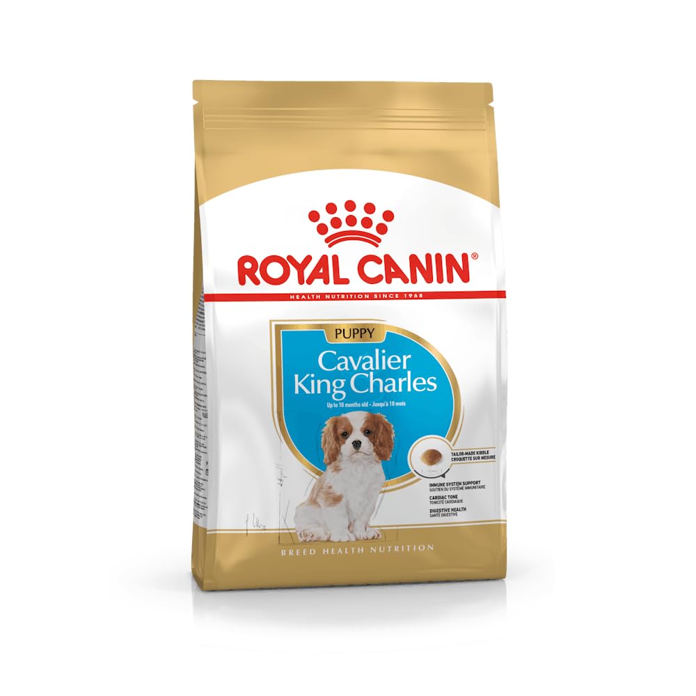 "Royal Canin Poodle dog food packaging with a clear label, designed for the specific nutritional needs of poodles."