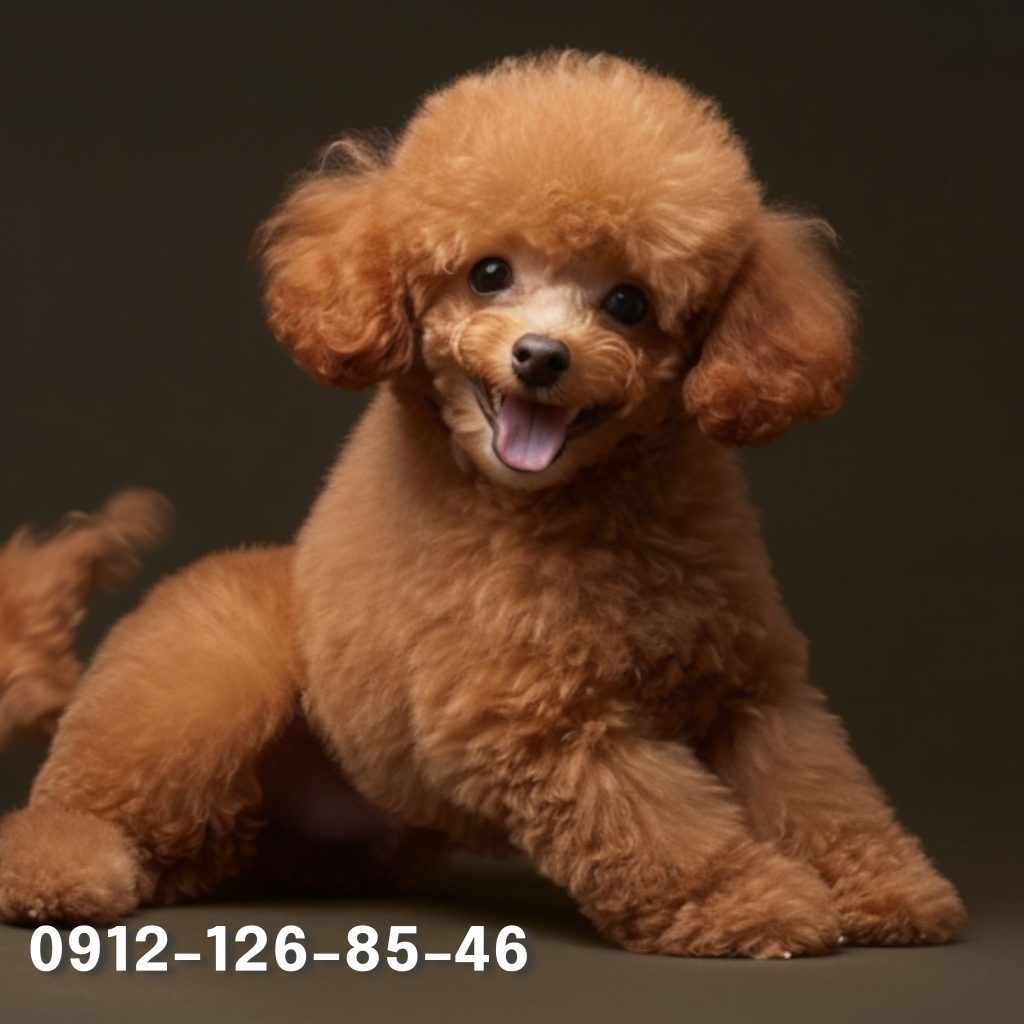 A cheerful, fluffy poodle dog with a curly coat grinning happily as it trots through a vibrant park, its tail wagging energetically as it enjoys the sunny day