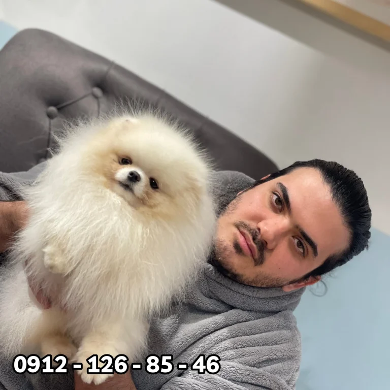 A man holding a fluffy white Pomeranian dog in his hands.