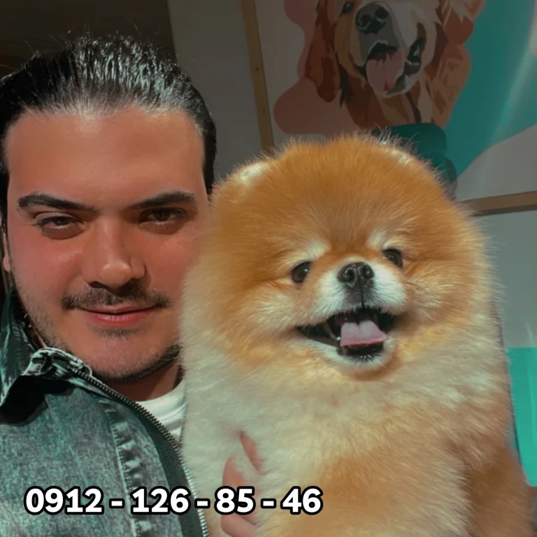 A man with slicked-back hair and a denim jacket smiling next to a fluffy, happy Pomeranian dog, with the phone number 0912-126-85-46 displayed at the bottom.